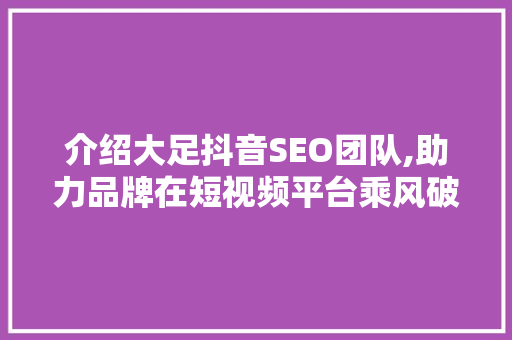 介绍大足抖音SEO团队,助力品牌在短视频平台乘风破浪