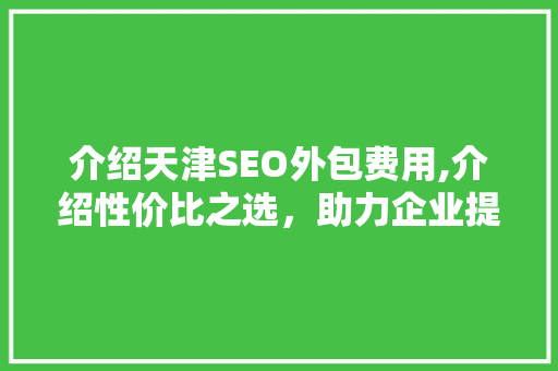 介绍天津SEO外包费用,介绍性价比之选，助力企业提升网络竞争力