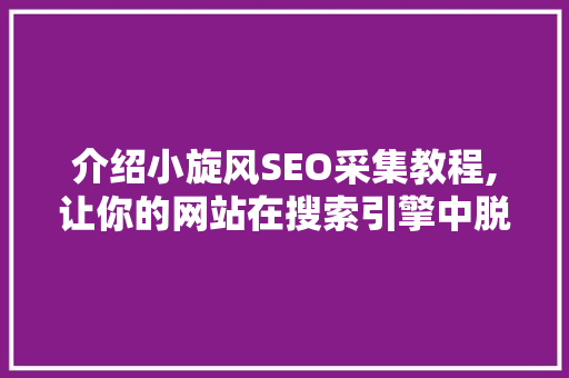 介绍小旋风SEO采集教程,让你的网站在搜索引擎中脱颖而出