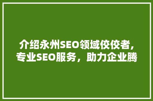 介绍永州SEO领域佼佼者,专业SEO服务,助力企业腾飞 介绍永州SEO领域佼佼者,专业SEO服务,助力企业腾飞