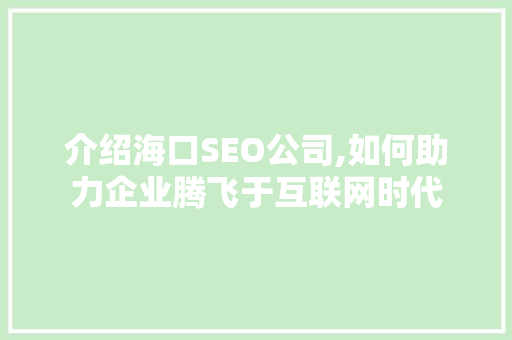 介绍海口SEO公司,如何助力企业腾飞于互联网时代