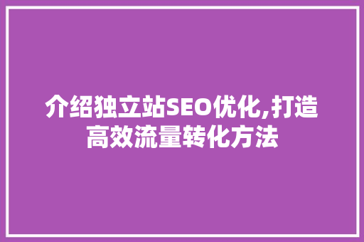 介绍独立站SEO优化,打造高效流量转化方法