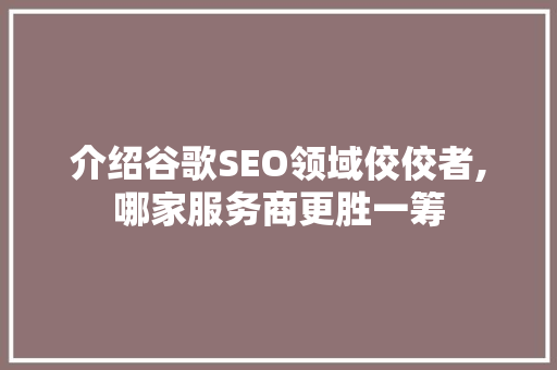 介绍谷歌SEO领域佼佼者,哪家服务商更胜一筹