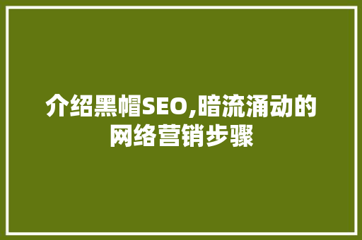 介绍黑帽SEO,暗流涌动的网络营销步骤