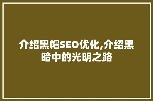 介绍黑帽SEO优化,介绍黑暗中的光明之路