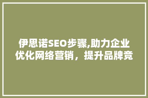伊思诺SEO步骤,助力企业优化网络营销，提升品牌竞争力