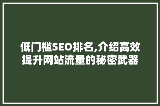 低门槛SEO排名,介绍高效提升网站流量的秘密武器