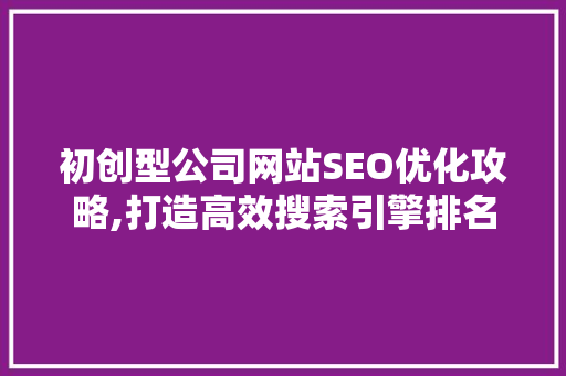 初创型公司网站SEO优化攻略,打造高效搜索引擎排名，助力企业腾飞