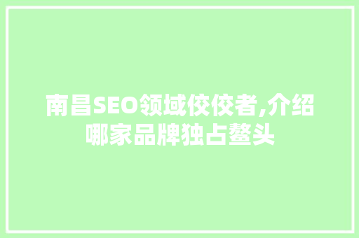 南昌SEO领域佼佼者,介绍哪家品牌独占鳌头