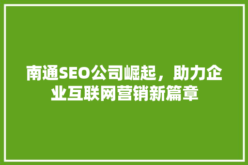南通SEO公司崛起，助力企业互联网营销新篇章