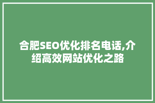 合肥SEO优化排名电话,介绍高效网站优化之路