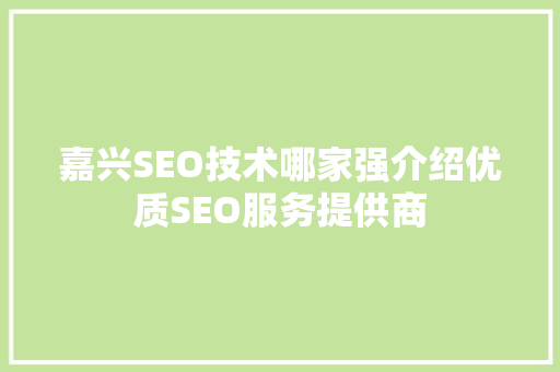 嘉兴SEO技术哪家强介绍优质SEO服务提供商