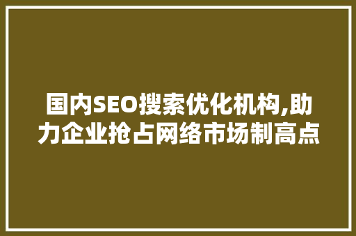 国内SEO搜索优化机构,助力企业抢占网络市场制高点