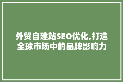 外贸自建站SEO优化,打造全球市场中的品牌影响力