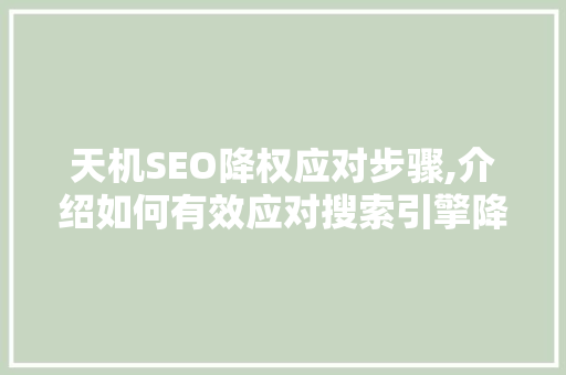 天机SEO降权应对步骤,介绍如何有效应对搜索引擎降权困境 电脑配置