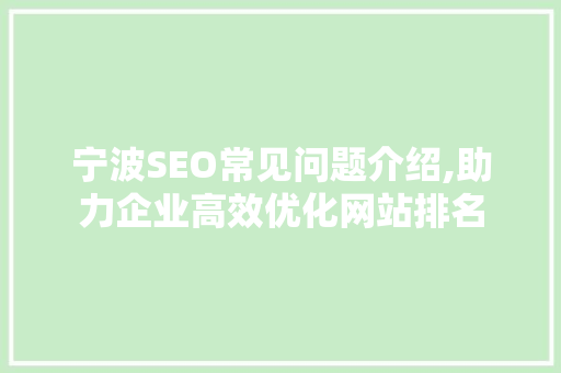 宁波SEO常见问题介绍,助力企业高效优化网站排名