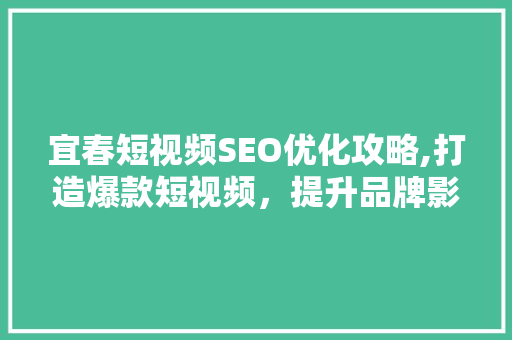 宜春短视频SEO优化攻略,打造爆款短视频，提升品牌影响力