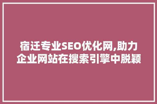 宿迁专业SEO优化网,助力企业网站在搜索引擎中脱颖而出 操作系统