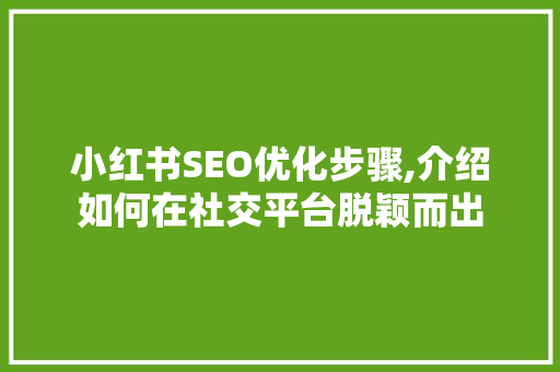 小红书SEO优化步骤,介绍如何在社交平台脱颖而出