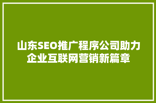 山东SEO推广程序公司助力企业互联网营销新篇章