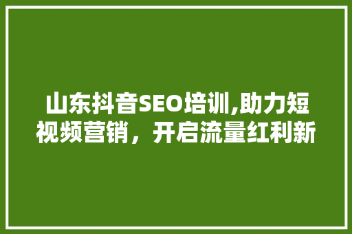 山东抖音SEO培训,助力短视频营销，开启流量红利新篇章