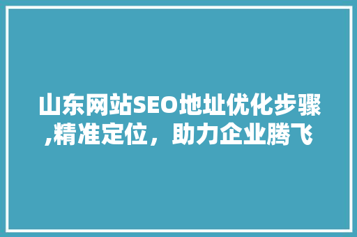 山东网站SEO地址优化步骤,精准定位，助力企业腾飞