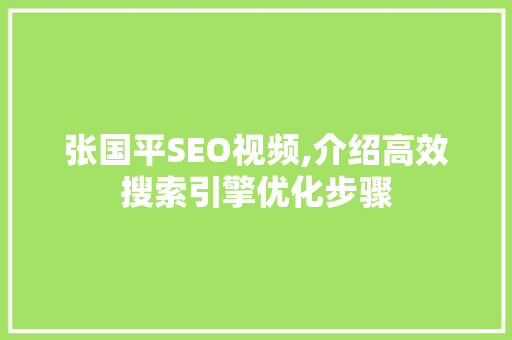 张国平SEO视频,介绍高效搜索引擎优化步骤