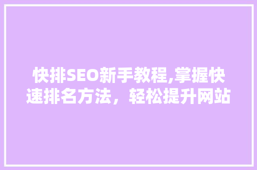 快排SEO新手教程,掌握快速排名方法，轻松提升网站流量