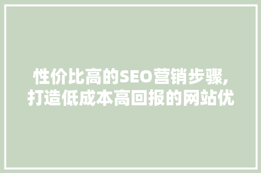 性价比高的SEO营销步骤,打造低成本高回报的网站优化之路
