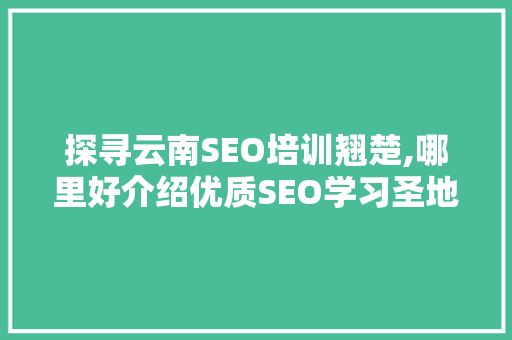 探寻云南SEO培训翘楚,哪里好介绍优质SEO学习圣地