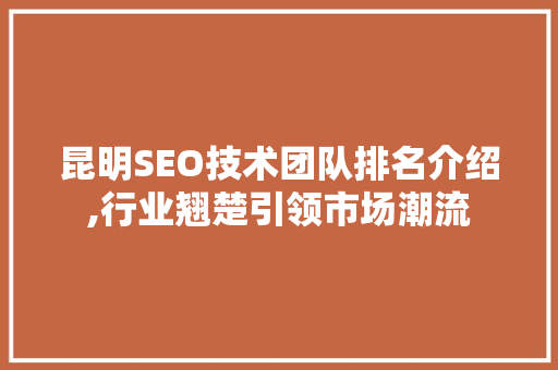 昆明SEO技术团队排名介绍,行业翘楚引领市场潮流