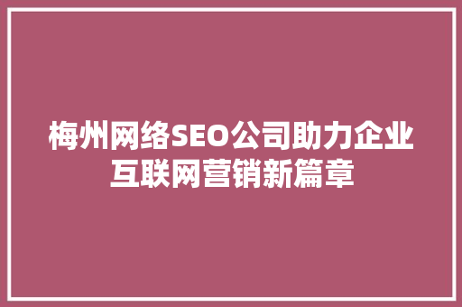 梅州网络SEO公司助力企业互联网营销新篇章