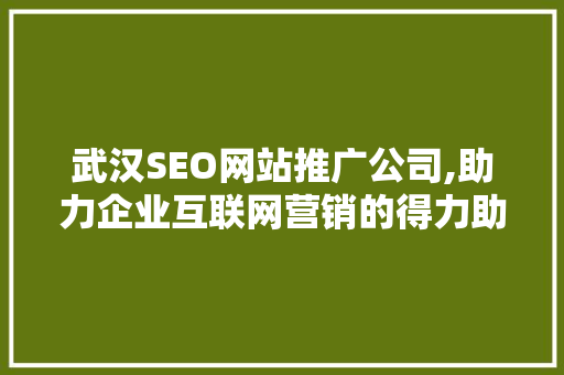 武汉SEO网站推广公司,助力企业互联网营销的得力助手