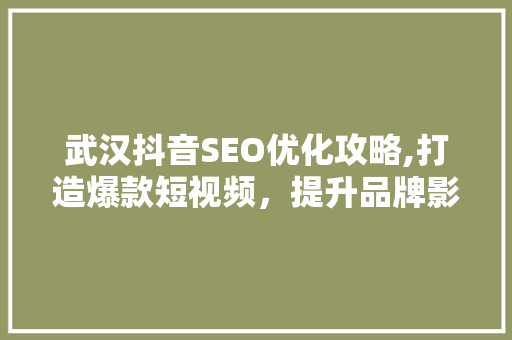 武汉抖音SEO优化攻略,打造爆款短视频，提升品牌影响力