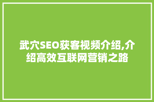 武穴SEO获客视频介绍,介绍高效互联网营销之路