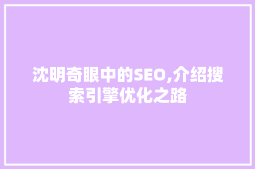 沈明奇眼中的SEO,介绍搜索引擎优化之路