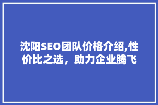 沈阳SEO团队价格介绍,性价比之选,助力企业腾飞 沈阳SEO团队价格介绍,性价比之选,助力企业腾飞