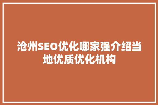 沧州SEO优化哪家强介绍当地优质优化机构