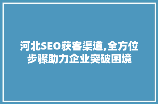 河北SEO获客渠道,全方位步骤助力企业突破困境 网络技术