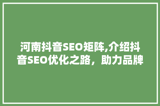 河南抖音SEO矩阵,介绍抖音SEO优化之路，助力品牌腾飞