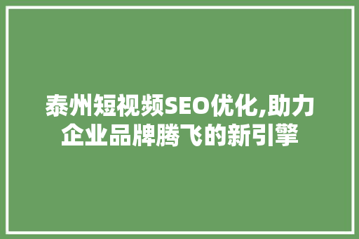 泰州短视频SEO优化,助力企业品牌腾飞的新引擎