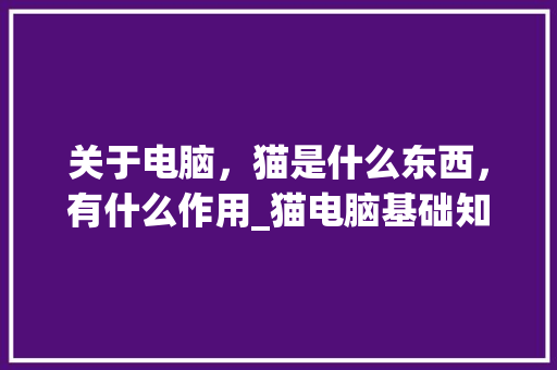 关于电脑，猫是什么东西，有什么作用_猫电脑基础知识大全
