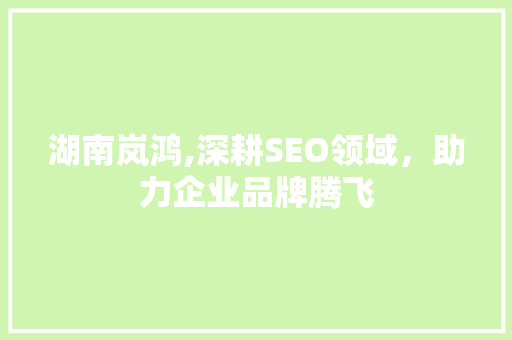 湖南岚鸿,深耕SEO领域，助力企业品牌腾飞
