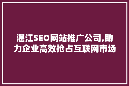 湛江SEO网站推广公司,助力企业高效抢占互联网市场