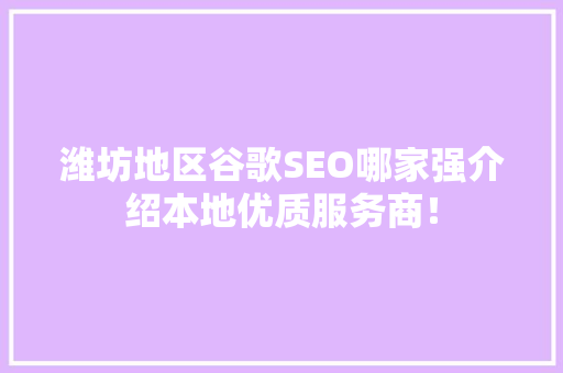 潍坊地区谷歌SEO哪家强介绍本地优质服务商！