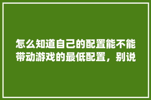 怎么知道自己的配置能不能带动游戏的最低配置，别说看，我看不懂，有没有更简单的_怎么查看电脑配置好不好
