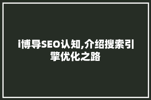 i博导SEO认知,介绍搜索引擎优化之路