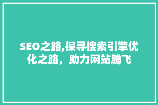 SEO之路,探寻搜索引擎优化之路，助力网站腾飞