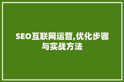 SEO互联网运营,优化步骤与实战方法
