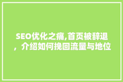SEO优化之痛,首页被辞退，介绍如何挽回流量与地位 电脑基础